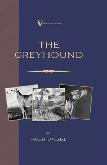 The Greyhound: Breeding, Coursing, Racing, Etc. (a Vintage Dog Books Breed Classic) by James Matheson