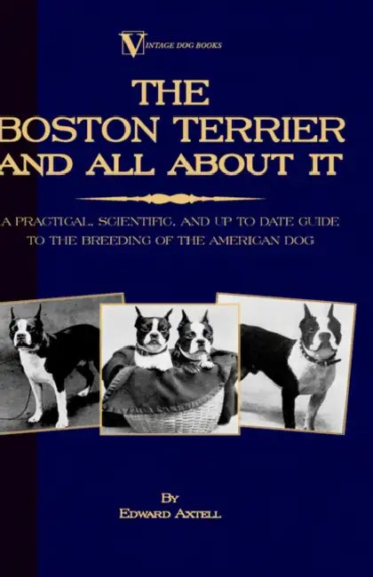 The Boston Terrier and All about It: A Practical, Scientific, and Up to Date Guide to the Breeding of the American Dog by Edward Axtell