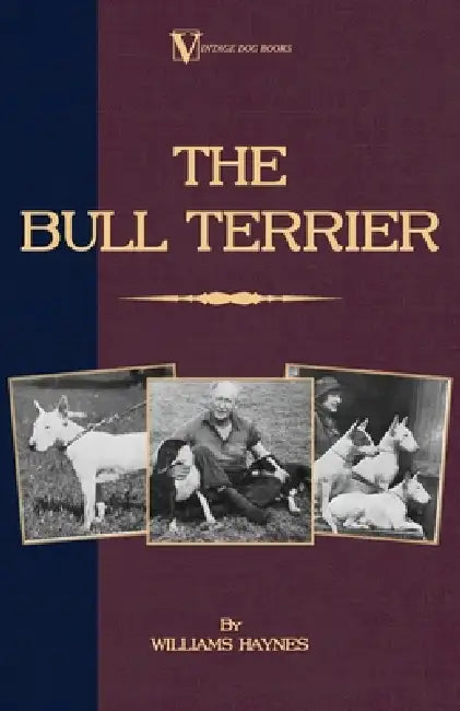 The Bull Terrier by Williams Haynes