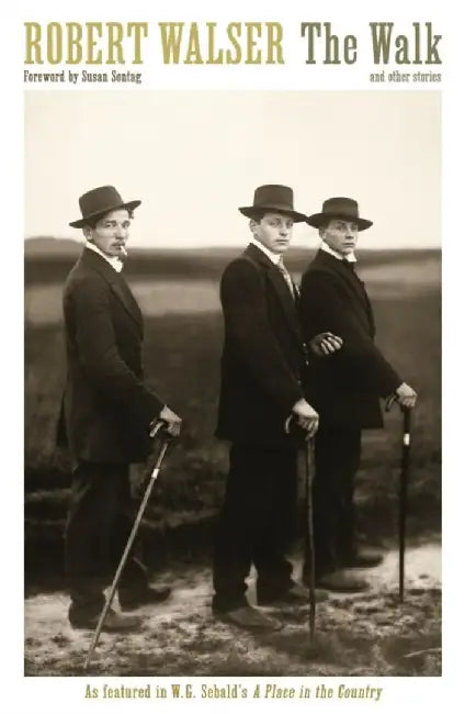 The Walk by Robert Walser