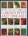 How to Get Rid of Garden Pests and Diseases: An Illustrated Identifier and Practical Problem Solver by Andrew Mikolajski