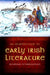 Introduction to Early Irish Literature by Muireann Ni Bhrolchain
