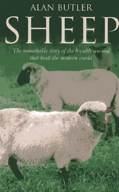 Sheep by Alan Butler