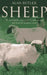 Sheep by Alan Butler