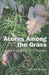 Acorns Among the Grass by Caroline Brazier