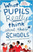 What Pupils Really Think About Their Schools: A Powerful Resource for School Improvement by Brian Carline