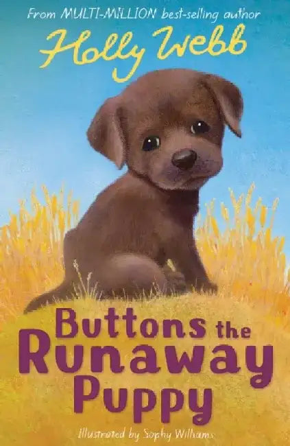 Buttons the Runaway Puppy by Holly Webb