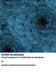 Infinity in Language: Conceptualization of the Experience of the Sublime by Kenneth Holmqvist