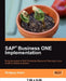 SAP Business ONE Implementation by Wolfgang Niefert