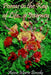 Poems in the Key of Life ... A Journey by Anne Marie Brooks
