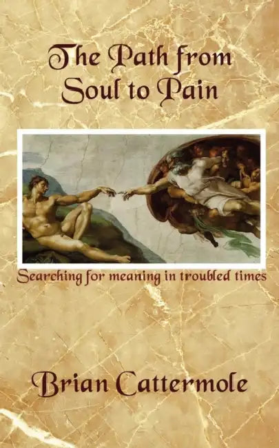 The Path from Soul to Pain: Searching for Meaning in Troubled Times by Brian Cattermole
