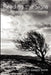 Reading the Signs - The Meaning from a Single Perspective by Gareth Smith Stephen Gareth Smith, Stephen Gareth Smith