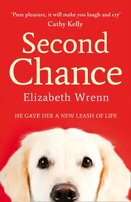 Second Chance by Alice Feeney