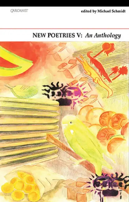 New Poetries V: An Anthology Volume 5 by Michael Schmidt