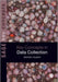 Data Collection: Key Debates and Methods in Social Research by Wendy