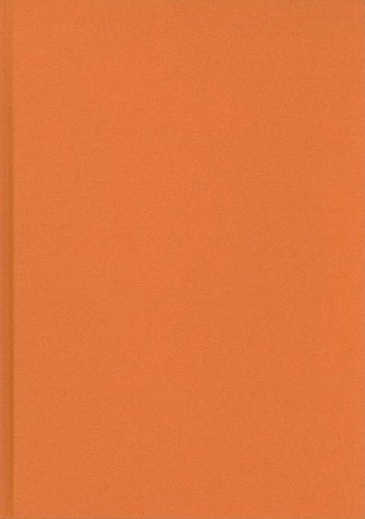 Achieving Positive Outcomes For Children In Care by R.J. Cameron