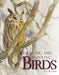 Drawing and Painting Birds by Tim Wootton