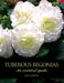 Tuberous Begonias: An Essential Guide by Jack Larter
