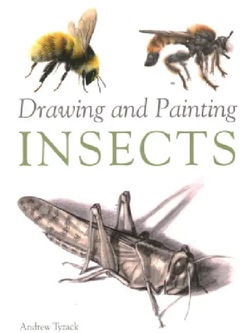 Drawing and Painting Insects by Andrew Tyzack