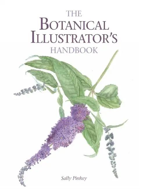 The Botanical Illustrator's Handbook by Sally Pinhey