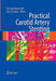 Practical Carotid Artery Stenting: A Practical Guide by Sumaira Macdonald, Gerald Stansby