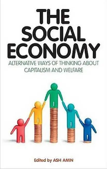 The Social Economy: International Perspectives on Economic Solidarity by Ash Amin
