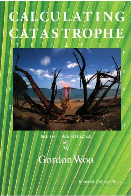 Calculating Catastrophe by Gordon Woo