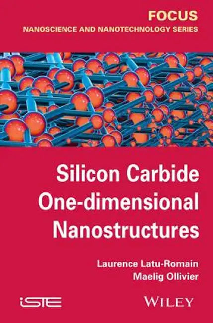 Silicon Carbide One-Dimensional Nanostructures by Laurence Latu-Romain