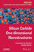 Silicon Carbide One-Dimensional Nanostructures by Laurence Latu-Romain