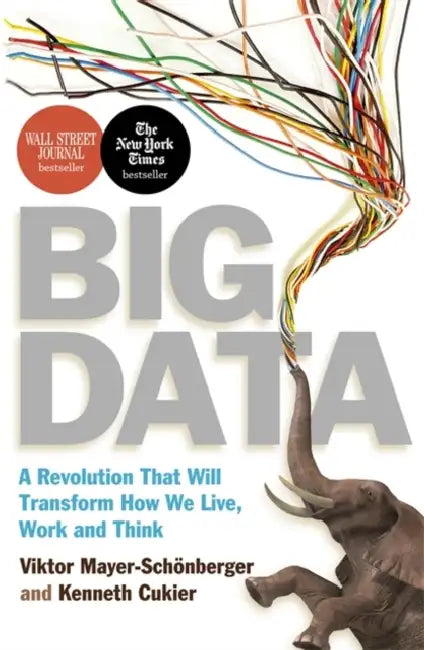 Big Data  by Viktor Mayer-Schonberger