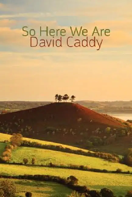 So Here We Are by David Caddy