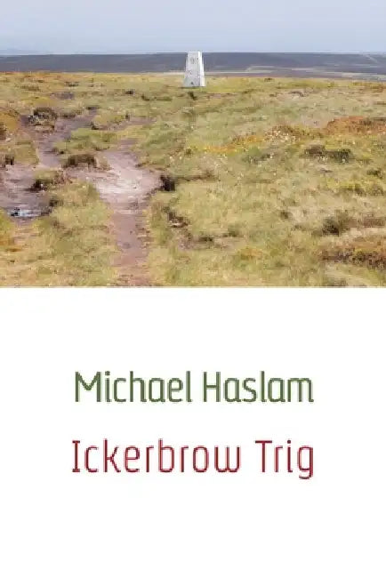 Ickerbrow Trig by Michael Haslam