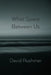 What Space Between Us by David Rushmer