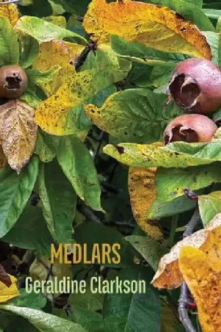 Medlars by Geraldine Clarkson