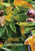 Medlars by Geraldine Clarkson