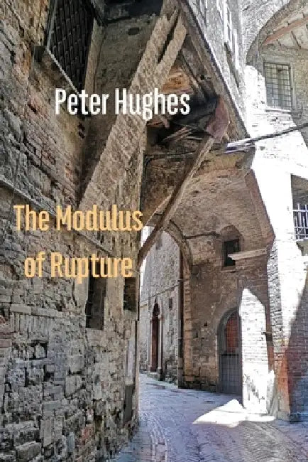 The Modulus of Rupture by Peter Hughes