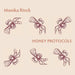 Honey Protocols by Monika Rinck