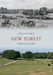 New Forest Through Time by Georgina Babey