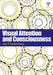 Visual Attention And Consciousness by Jay Friedenberg