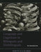 Language and Cognition in Bilinguals and Multilinguals: An Introduction by Annette M.B. de Groot