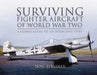 Surviving Fighter Aircraft WW2 by Don Berliner