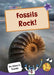 Fossils Rock!