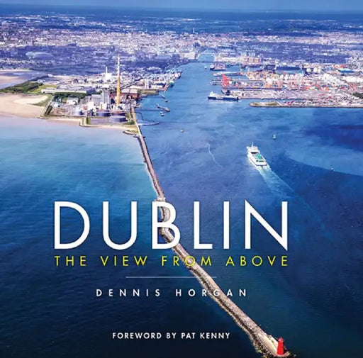 Dublin the View from Above by Dennis Horgan