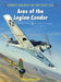 Aces of the Legion Condor by Robert Forsyth