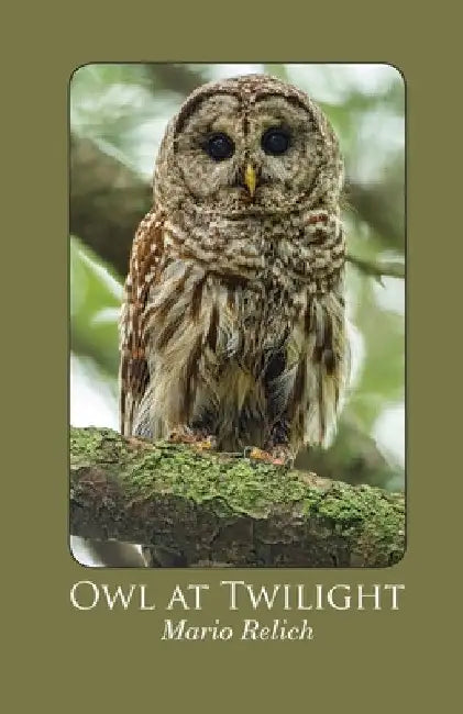 Owl at Twilight by Mario Relich