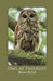 Owl at Twilight by Mario Relich