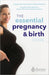 The Essential Pregnancy And Birth Guide Essential Parent Company 2 by Rebecca Chicot