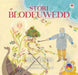 Stori Blodeuwedd by Sian Lewis