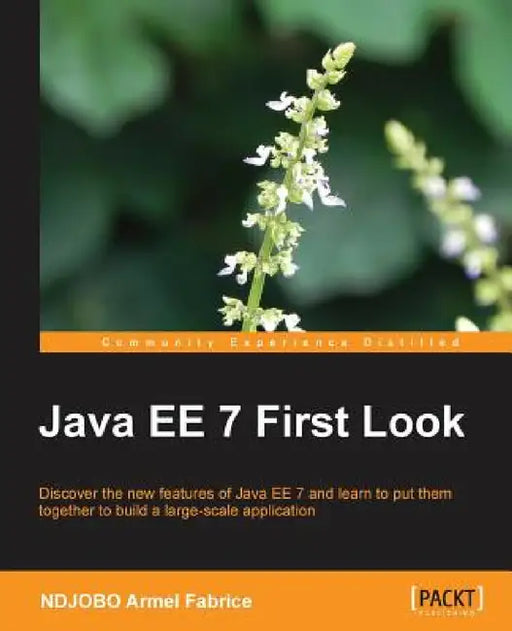Java Ee 7 First Look by Ndjobo Armel Fabrice