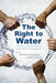 The Right to Water: Politics, Governance and Social Struggles by Farhana Sultana